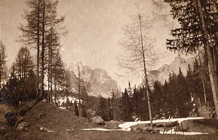 Il Lagozoi