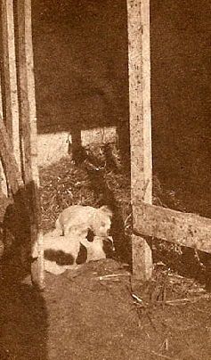 La famigliola2