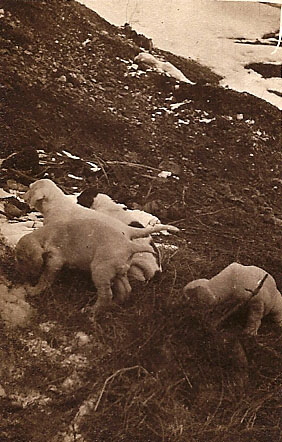 La famigliola