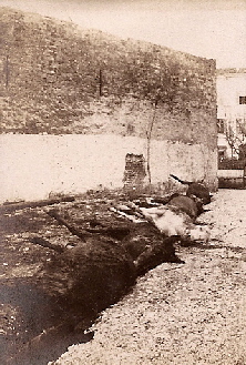 Montefiascone - Vittime di una granata