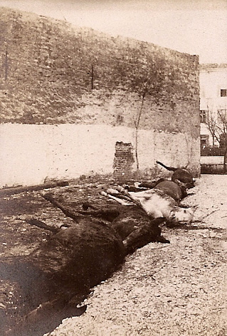 Montefiascone - Vittime di una granata