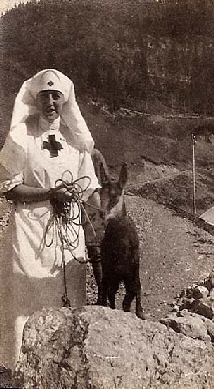 Signora Piccione