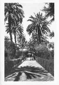 1936_Alcazar_Giardino (2)