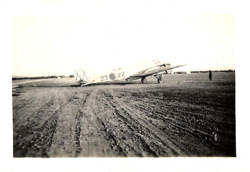 Fiat Br.20 Cicogna