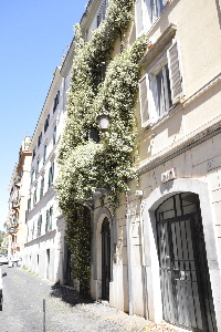 Via dei Fienili-Palazzo_al_n_95