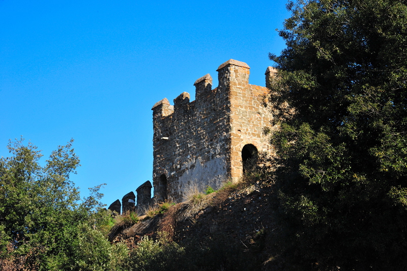 Via_di_Porta_di_San_Lorenzo-Mura_Aureliane (2)