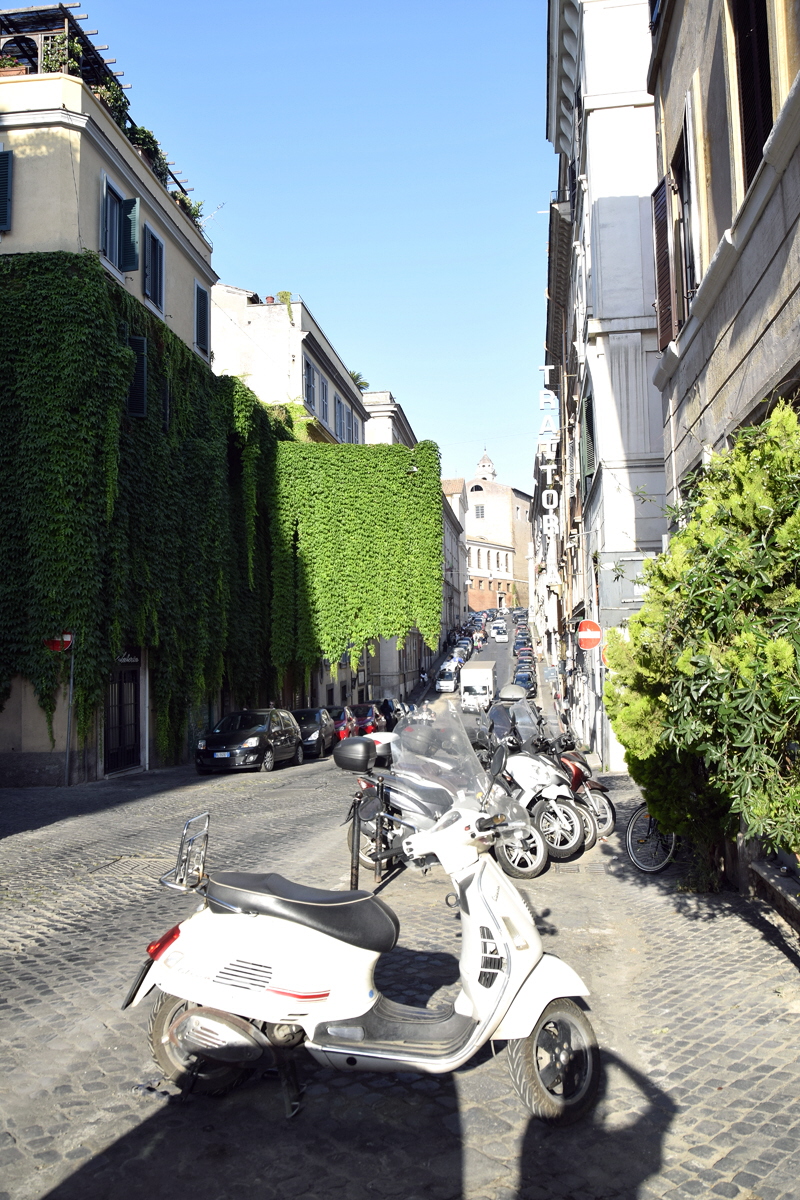 Via_Panisperna