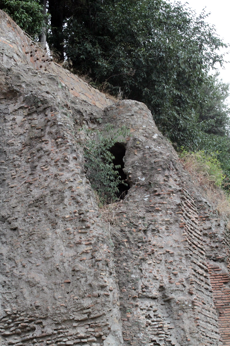 via Claudia - Mura di fondazione del Tempio di Claudio