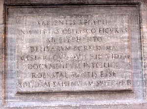 Piazza_della_Minerva-Monumento_Elefante_con_Obelisco-Particolare (6)