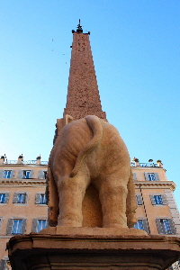 Piazza_della_Minerva-Monumento_Elefante_con_Obelisco (5)