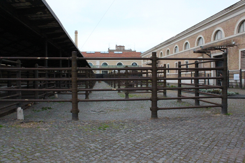 Via_di_Monte_Testaccio-Mattatoio (7)