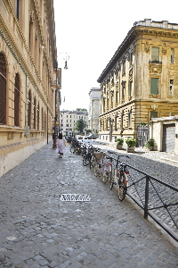 Via_Catalana- (2)