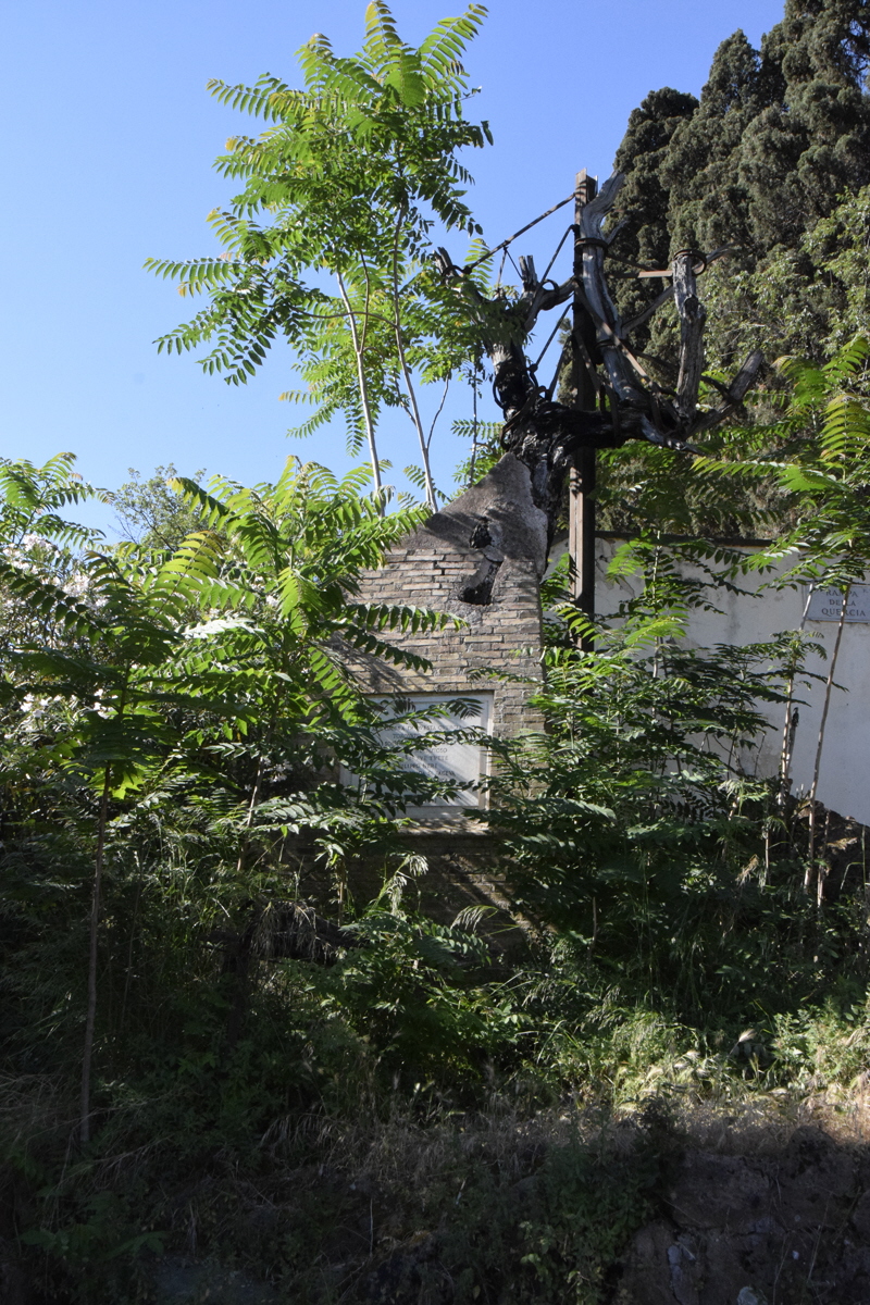 Rampa_della_Quercia_del_Tasso (3)